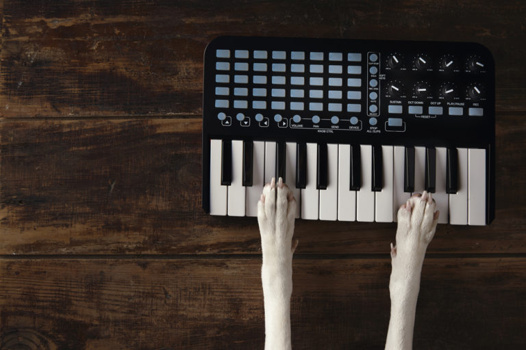 Best Ableton MIDI Controller 7 Controllers Reviewed Audio Egghead