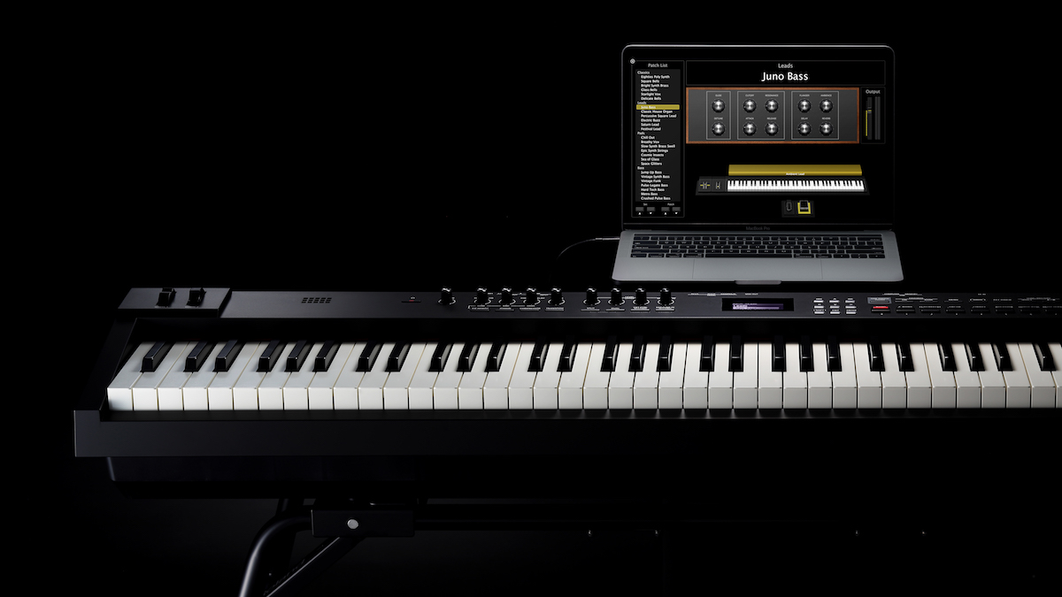 Digital Piano Versus Keyboard | What’s the Difference and Which One Is Right for Me?